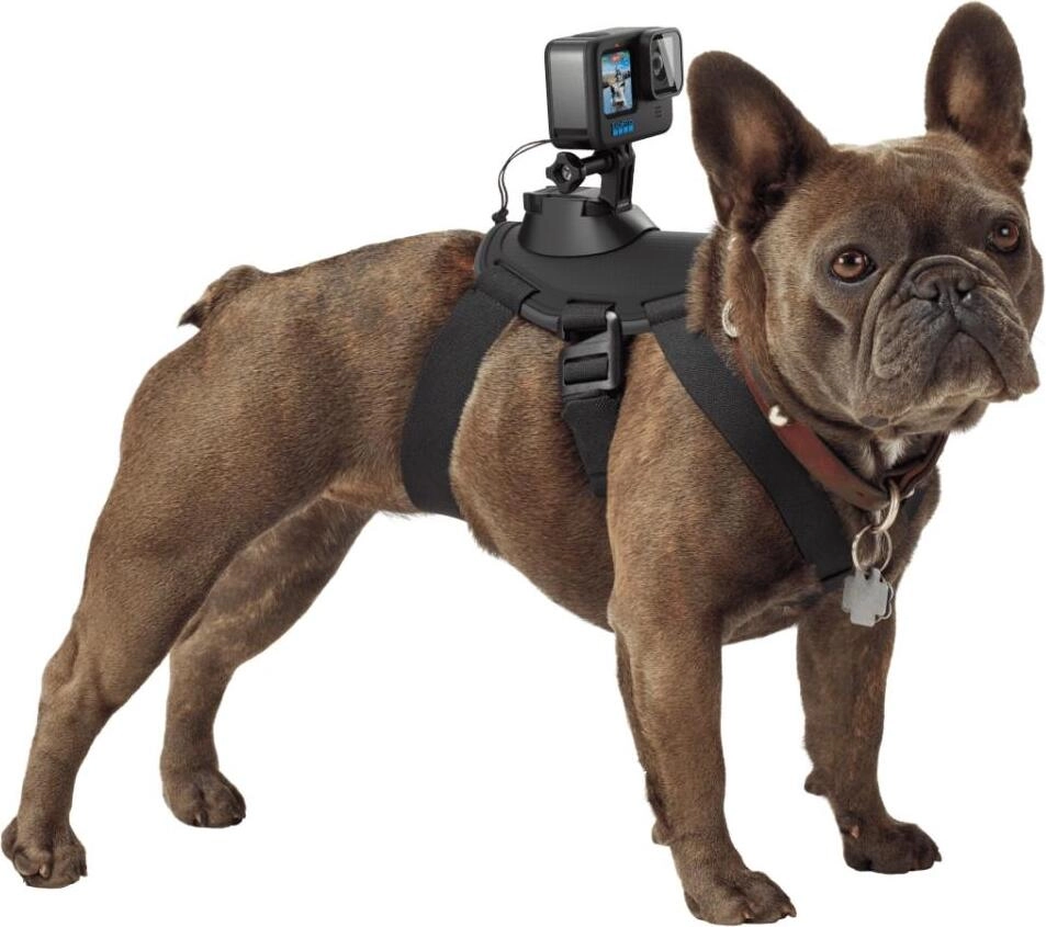 Крепление GoPro Fetch Dog Harness | Характеристики, Отзывы и Цена